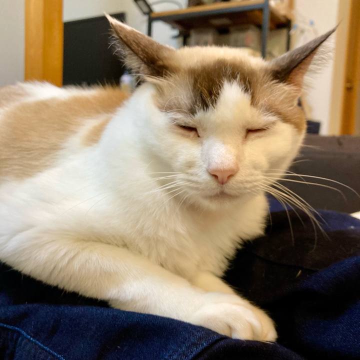 4f07e49c ba8c 43cf 91ab 77f755067b73 1636280946965