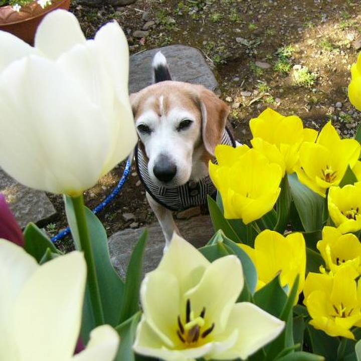 4f07edab 8770 4df2 bf04 8ecf07399ef0 1662162894146