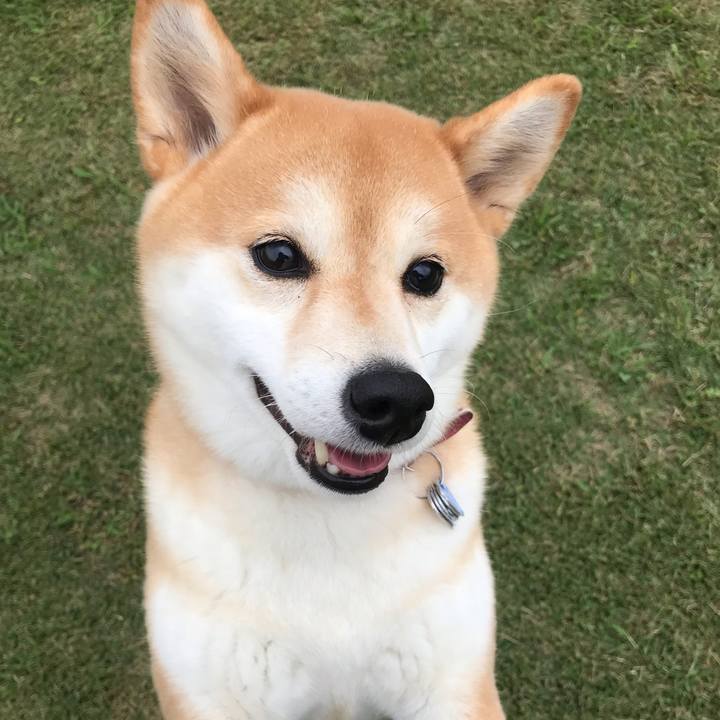 4f0803c0 bb74 4aa0 b2b1 89727d8c98b1 1539386384394