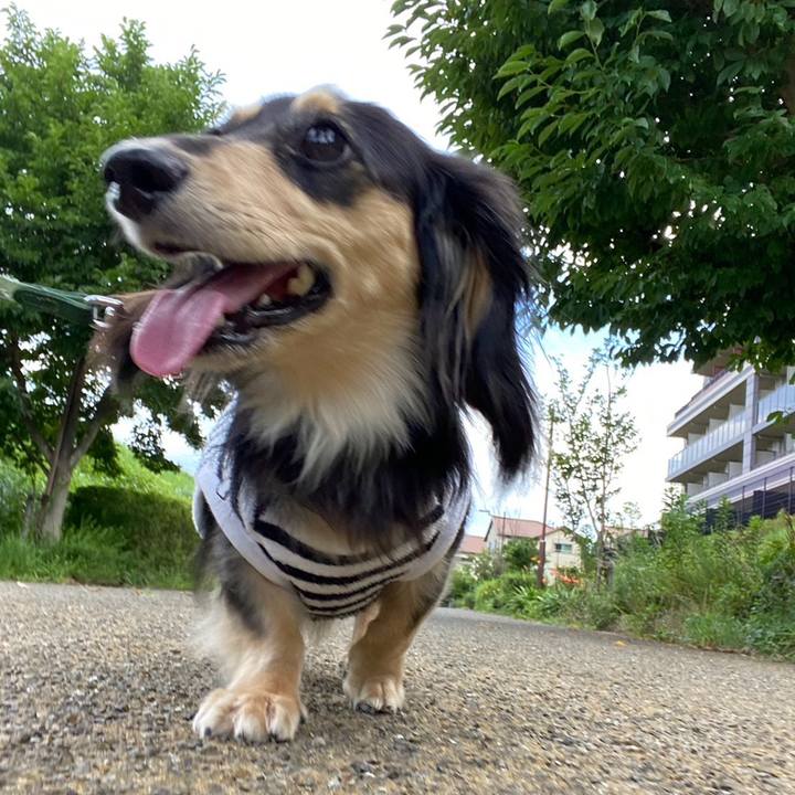 4f081349 1cb7 4d8a 98e9 1ef5cbd72688 1720564785808