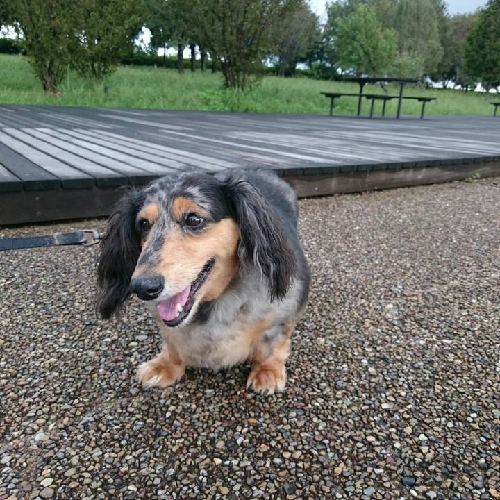 4f0835c2 d0d3 4208 ae59 3b19abee6643 1536584331294