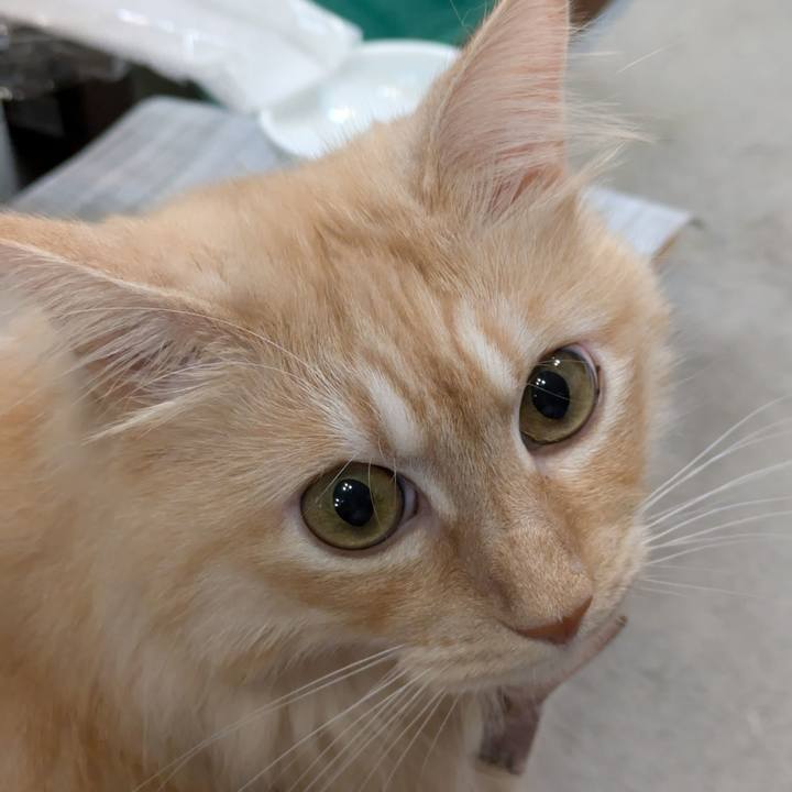 4f084a77 b075 47fc 8545 5aed44ef7313 1725178386377