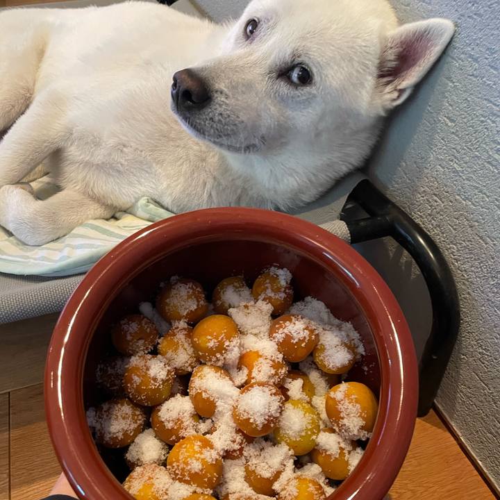 4f084e3a b56c 47ee b134 f06748e9ae30 1718454091992