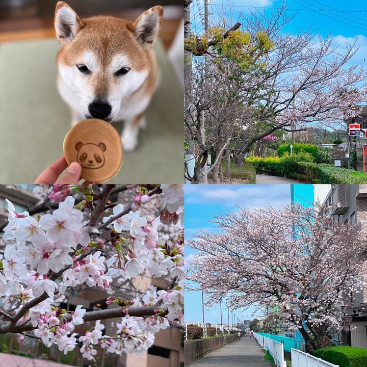 4f088901 715b 4514 9cb6 4c6fbd6a6df8 1679470829253