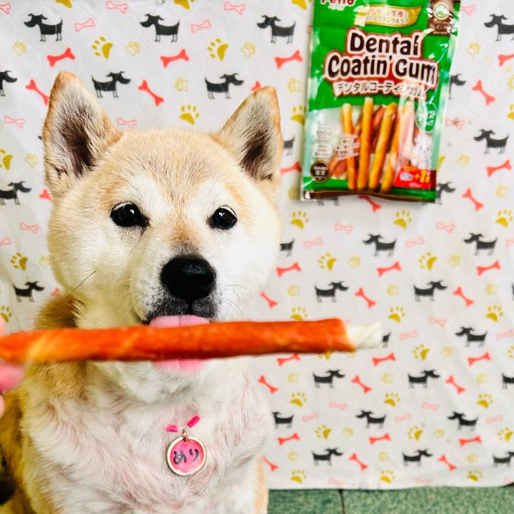 4f089686 5762 42aa a23a b14ea9bad33b 1748062150510