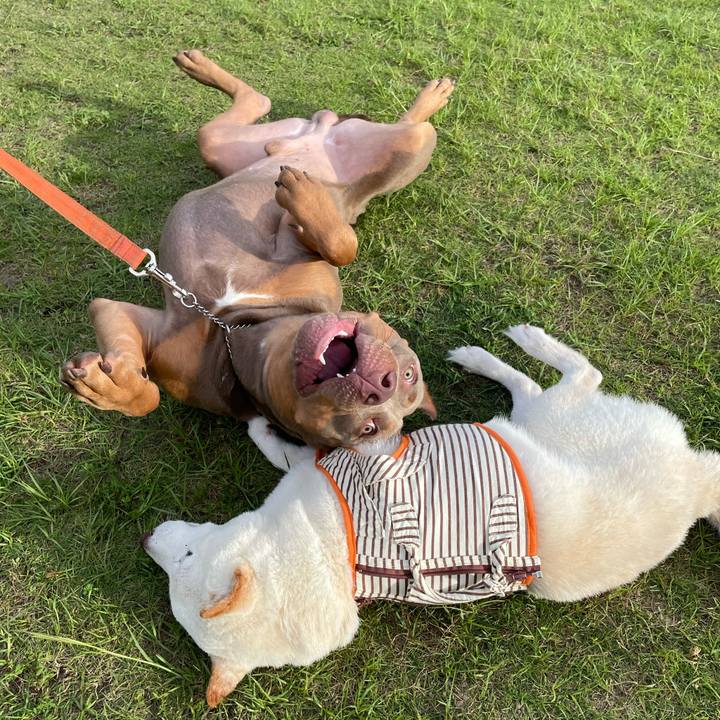 4f08c3e8 a571 488d ae5c b578effbf9e1 1656506273903