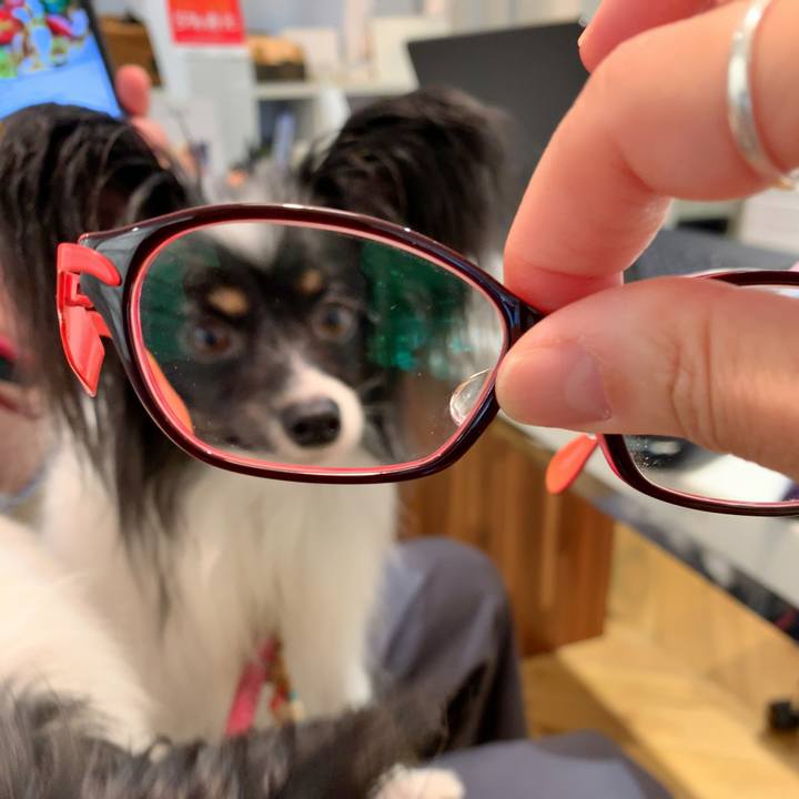 4f08e178 c46a 4d71 8216 d205a98711ca 1572855909587