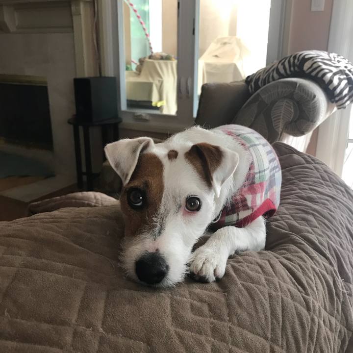 4f08e739 135f 4ae2 bf3c 912075ed7af7 1525369999869