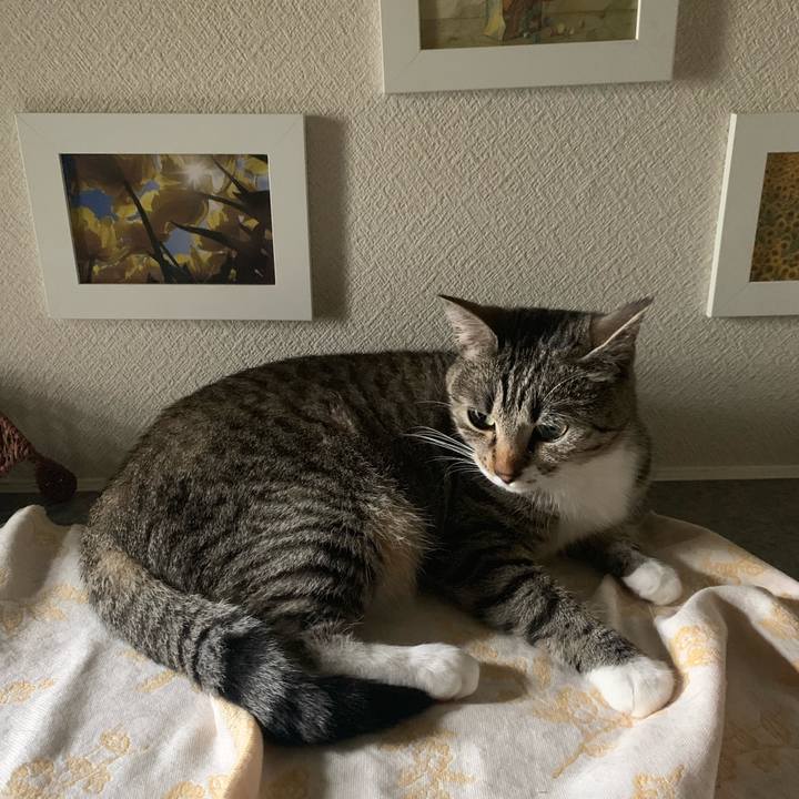 4f08ebd3 f15b 4e3c a0c8 46aedee7e9d5 1561374649930