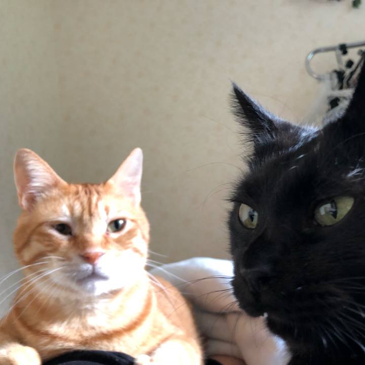 4f0920e8 903f 492b 90ce 9e8296fc311f 1569628848424