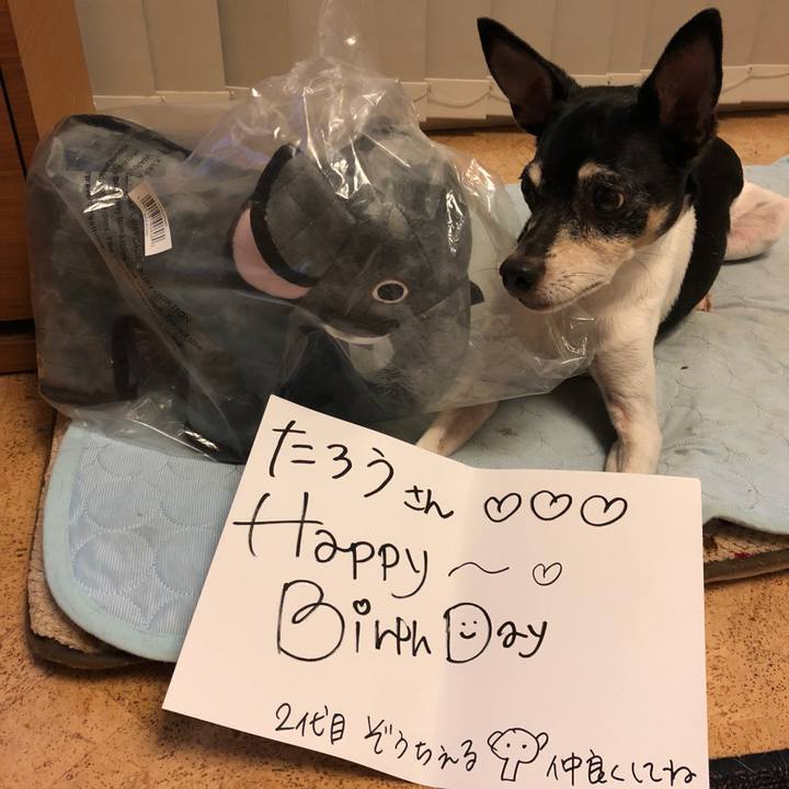 4f092440 7939 43cf 8b0a e2e003746f85 1531541845638