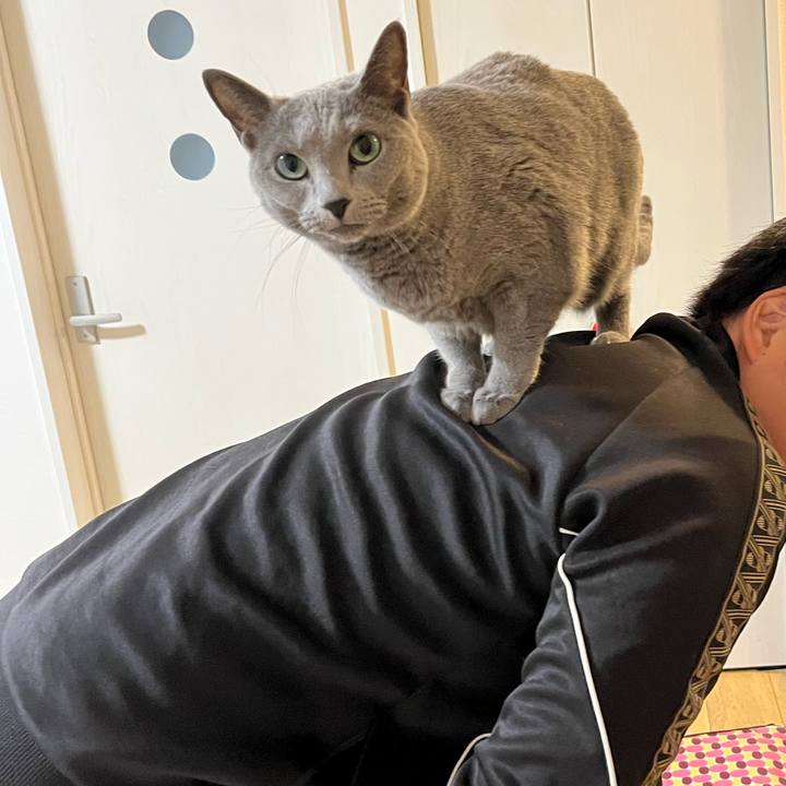 4f094125 953d 4046 800d c33e6691882b 1767173842107