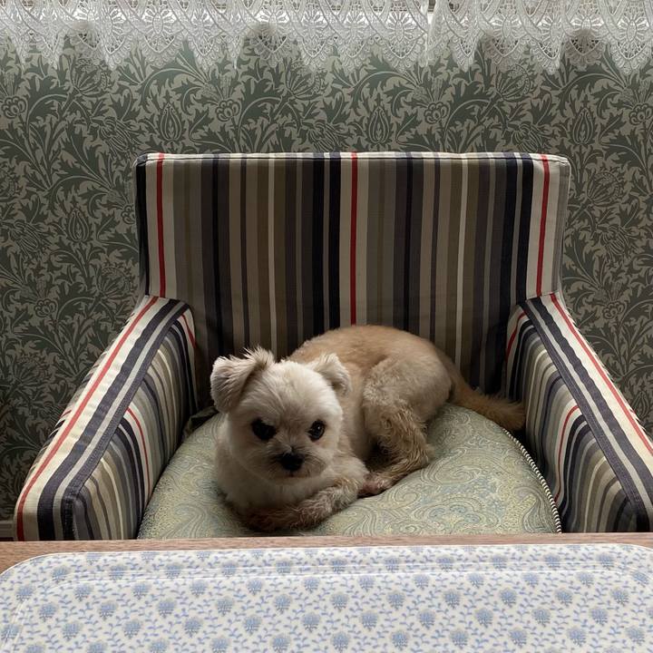 4f095038 03f0 4905 a04b 6cac72590610 1600579993509