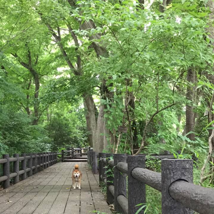 4f0950b7 8e43 4f14 91e4 aaaf0a74b610 1624247608907