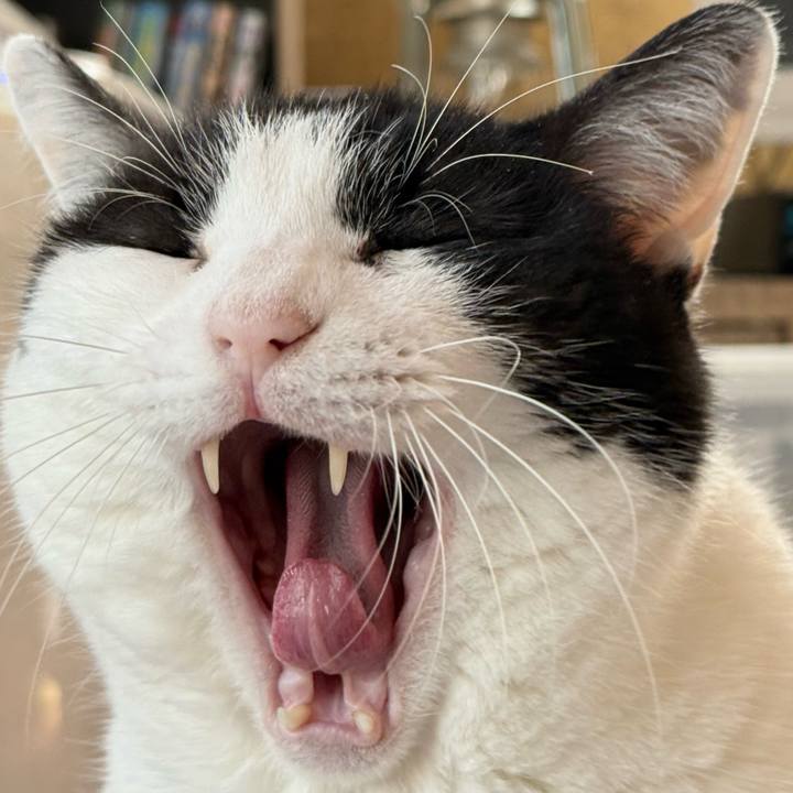 4f099102 38cc 4b5c 81f7 8693df51b830 1771031798054