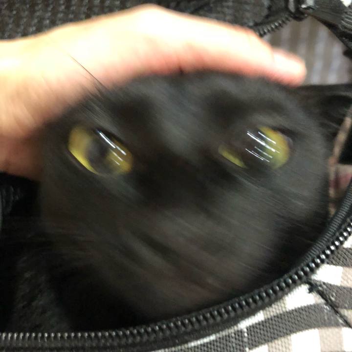 4f09a811 7467 4b8c adbe 07900081fa82 1533950815880