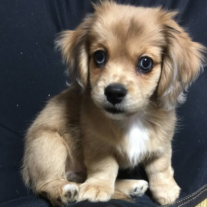 4f09d77b 408c 491a b8eb 1d5c4097be6b 1591398586954