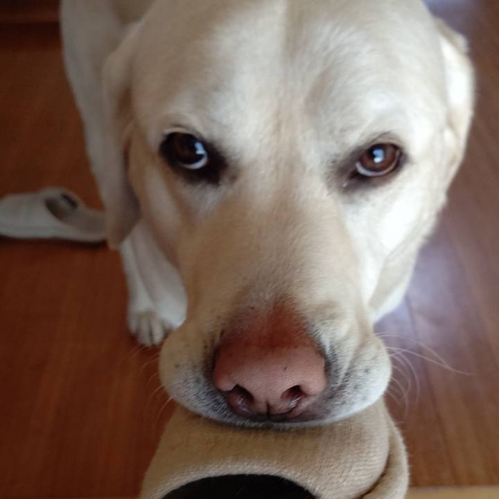 4f09f5ec cfdc 4385 a6d7 f52c3949e37f 1647408796327