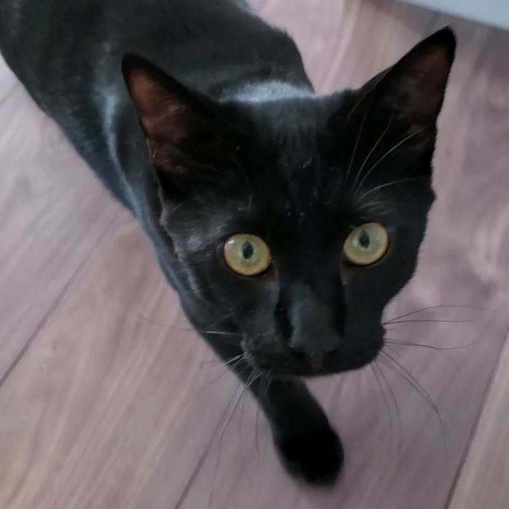 4f09f8bf bca3 46c0 92b6 0528c0d68245 1700139105866