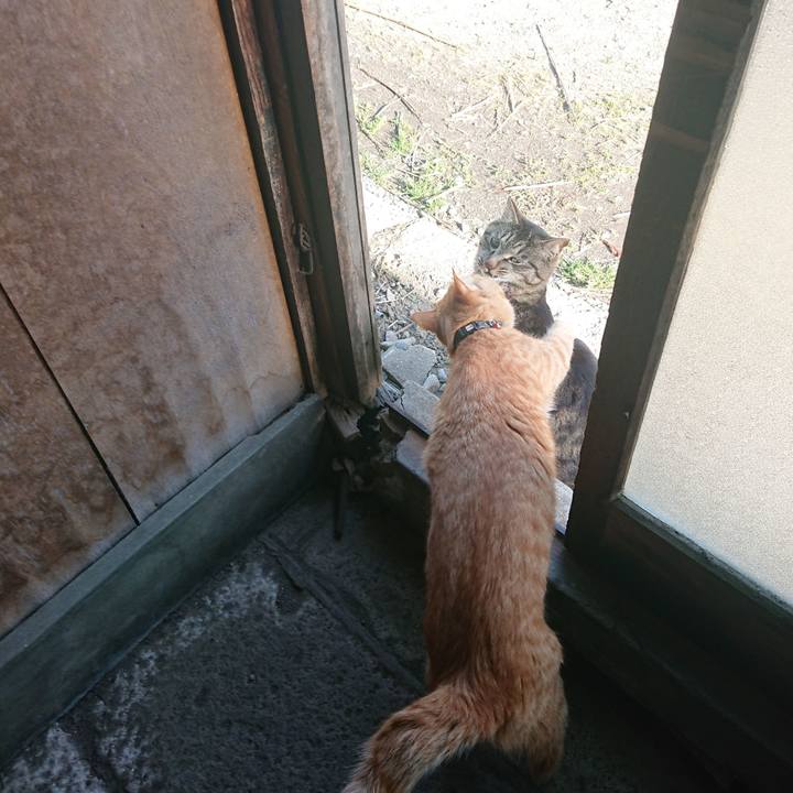 4f0a0523 d1e5 4e61 80d0 37a36029a537 1650715763765