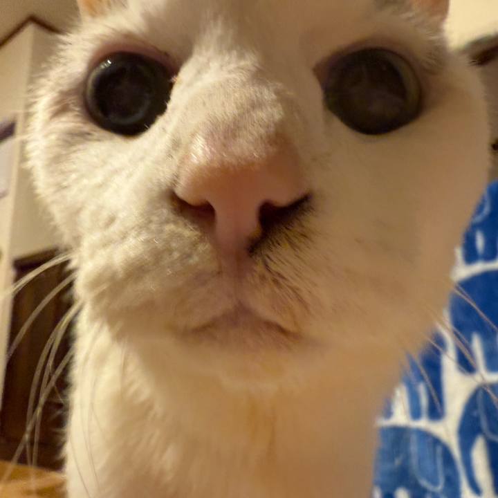 4f0a1d8e 523a 47d8 b9d7 34649c91319a 1771194814379