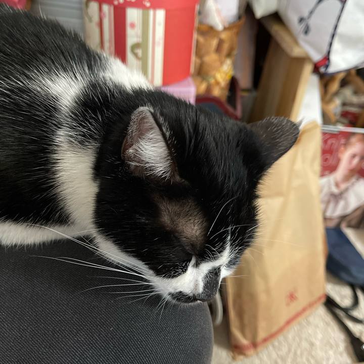 4f0a28b3 71d5 45ec ae71 2528fd05bb6d 1764464126986