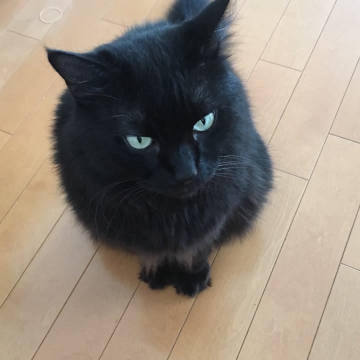 4f0a2ed9 1d1c 4cbf ac14 f4883c11a8f6 1535873914312