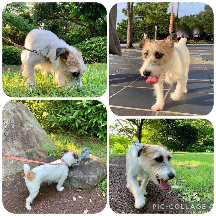 4f0a38e3 4650 4fde bd2b 303448dbe30c 1658722069455