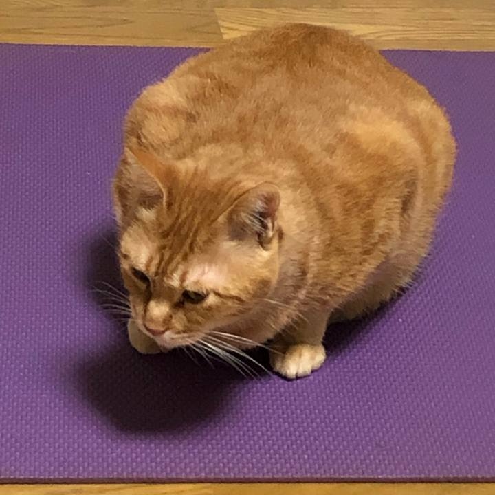 4f0a44c1 eb67 401f afad a47fea3200fb 1603618919628