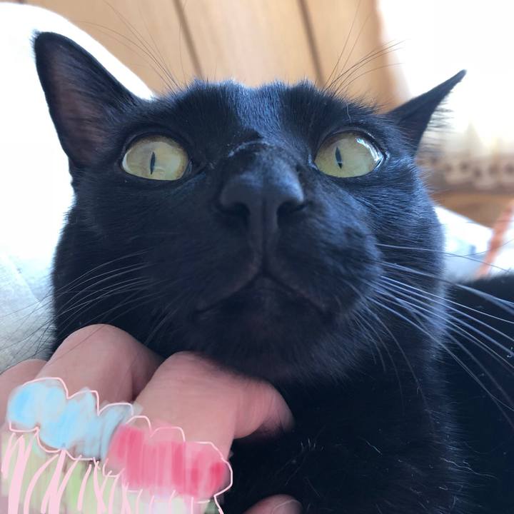 4f0a4576 3095 44b9 9910 1ba7944402d7 1542963406491