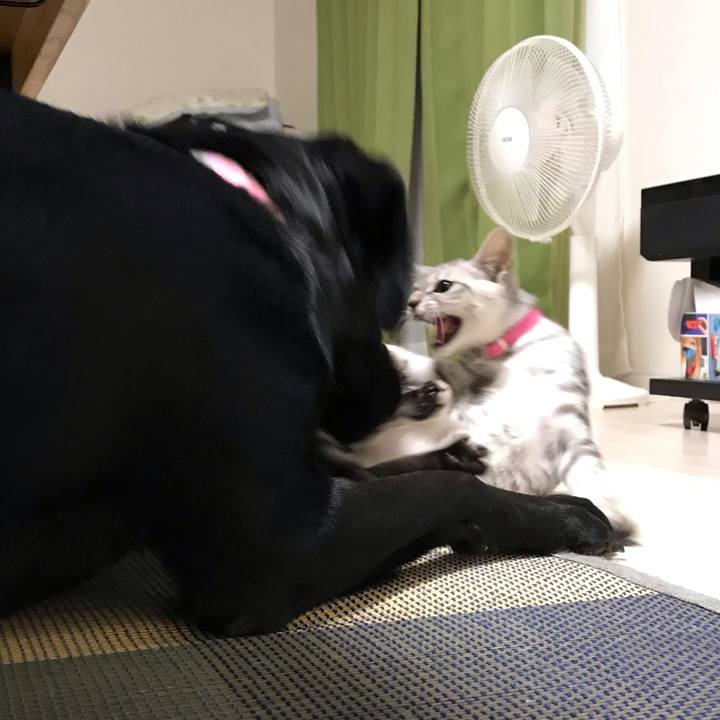 4f0a7711 37dc 4272 912d 0ee11d282134 1566216430881