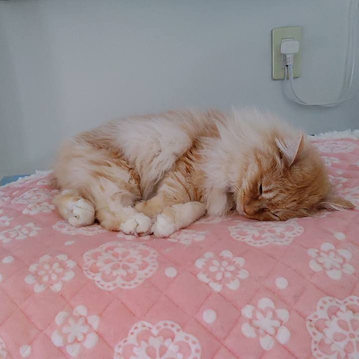 4f0aa706 71e3 4b92 b561 2c7a4389c7ea 1713250170987