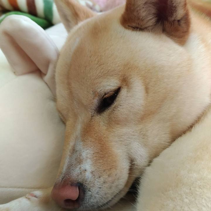 4f0b370a 6dfe 4256 ac82 d7139e8ae821 1519773895669