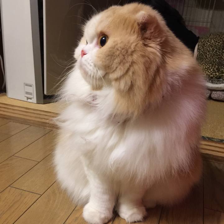 4f0b4ad3 f538 485f a990 1550aff241a7 1546267348686