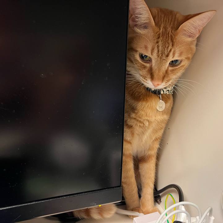 4f0b7ab6 671e 422f aa6b bc7840c225ab 1649366074758