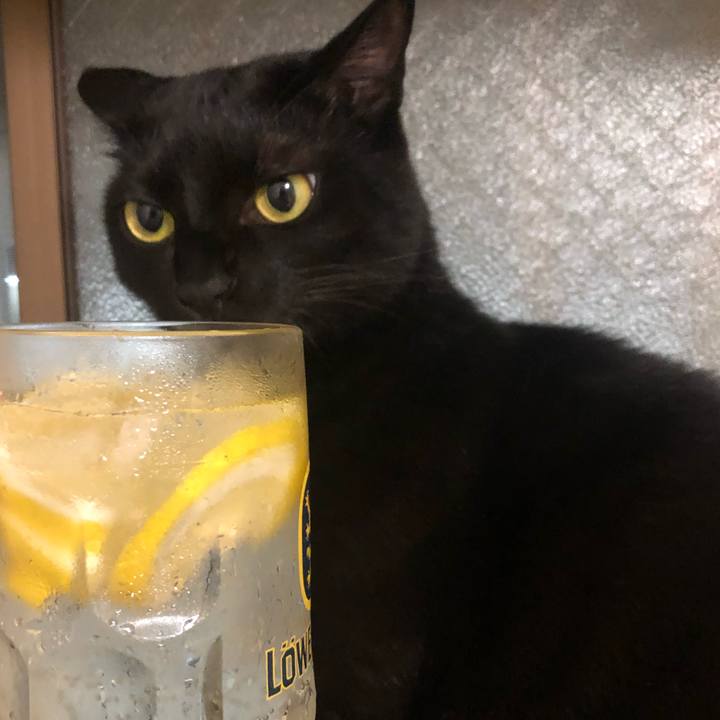 4f0b80b6 0909 4ab0 95b7 cf8ead9c7cc1 1567859644385