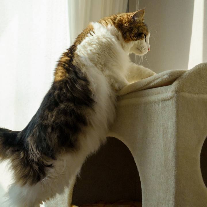 4f0b8715 a3c0 4cc9 8601 b82c92d7757a 1707466653660