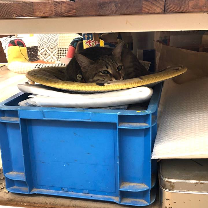 4f0bb1d6 d850 416d b1b6 977284540237 1617001818802