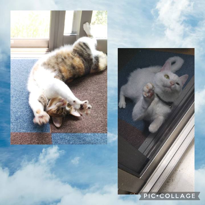 4f0bba63 4c58 454a b402 d99f30bd6fdf 1656415121666