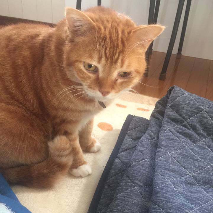 4f0c0ccf eca9 4127 845c 6abdc3ae93a4 1550999282729