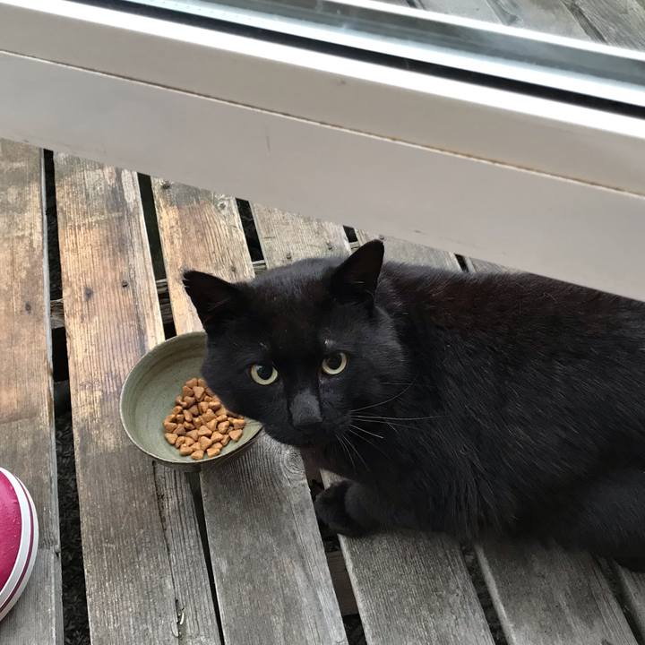 4f0c0ebe 5a78 4307 bbc7 db77512cc445 1623705032975