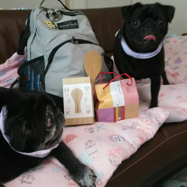 4f0c266d 1b10 4b45 aee0 7eab0b630a04 1531802099241