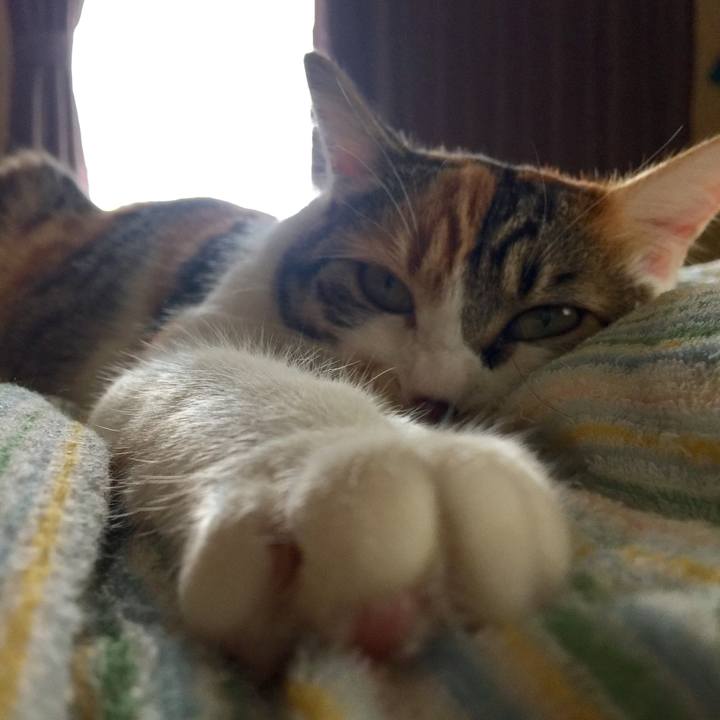 4f0c2b3e d438 4903 b473 475a9b5b0ff3 1652239409557