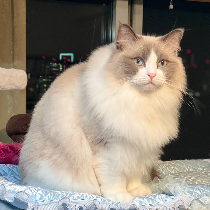 4f0c5748 3d45 4486 9906 cb5c77e67caa 1685791506769