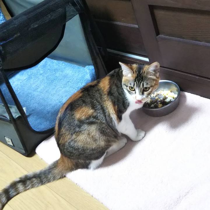 4f0c90fe 9bd8 4f35 9123 6958fee91228 1642844170741