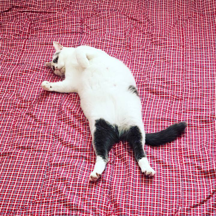 4f0c97ff 40ad 4947 b1f5 0b3540781b74 1628615719453