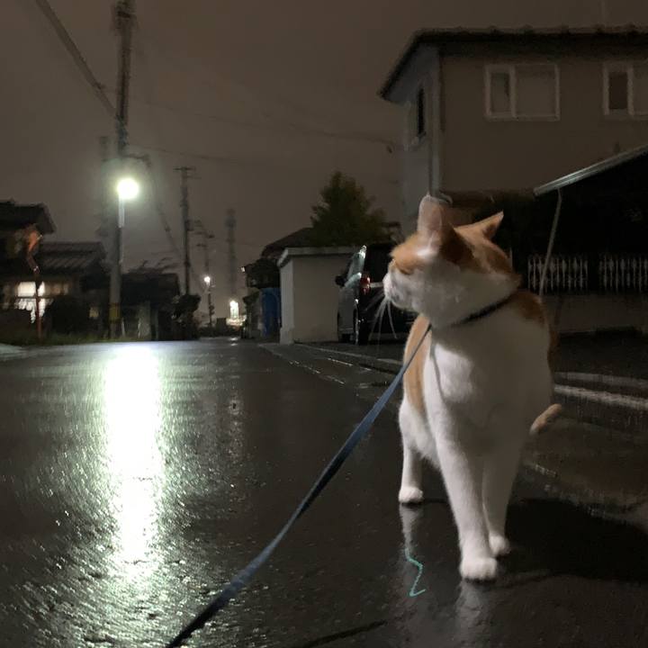 4f0cb3f8 db82 4b33 a69f aa4bf736a918 1572341565118