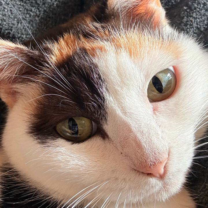 4f0ce038 d344 48b3 bbdb 9e3f264349c8 1767405173125