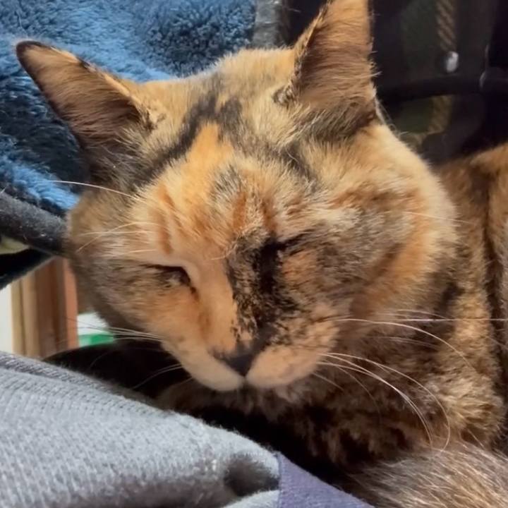 4f0cf361 253f 4b21 8eea 2c158eda9b18 1772073517608