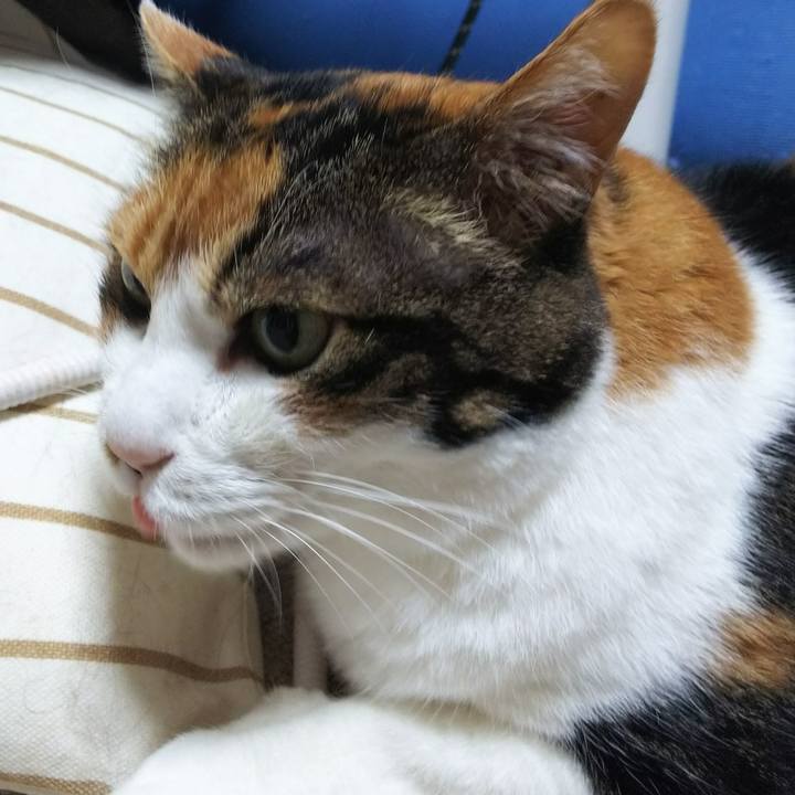 4f0d0b01 9967 4e83 a322 d9b913847299 1537306859756